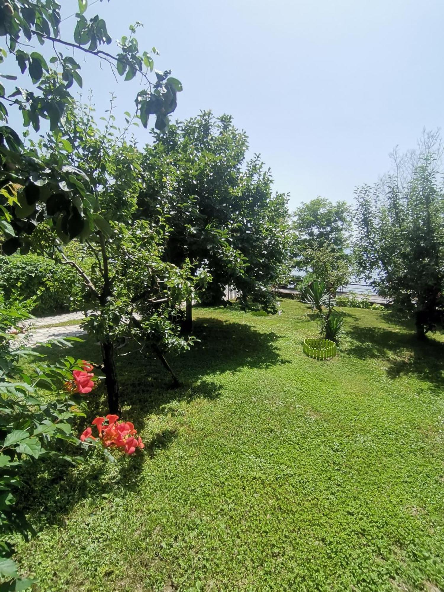 Guesthouse Zimovski Peštani Esterno foto