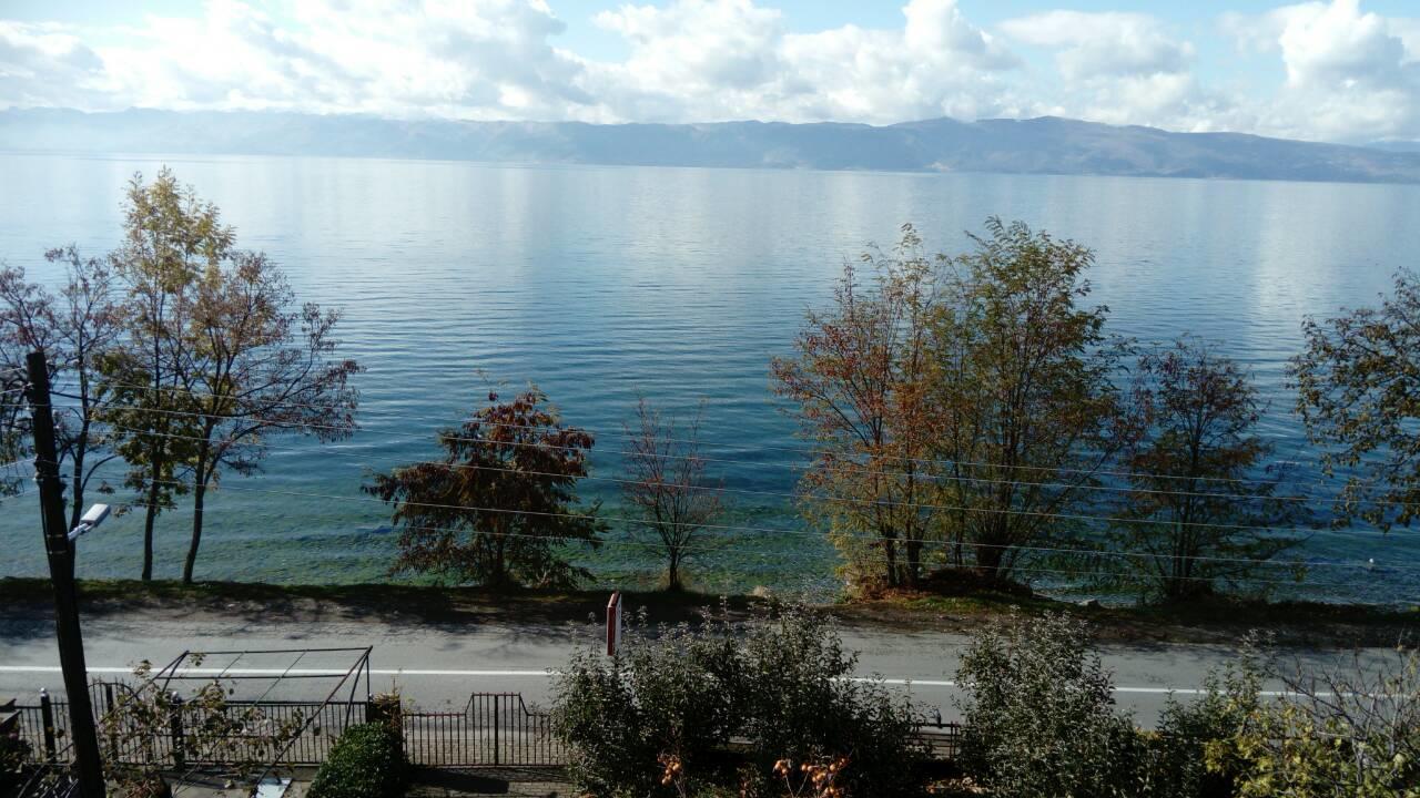 Guesthouse Zimovski Peštani Esterno foto