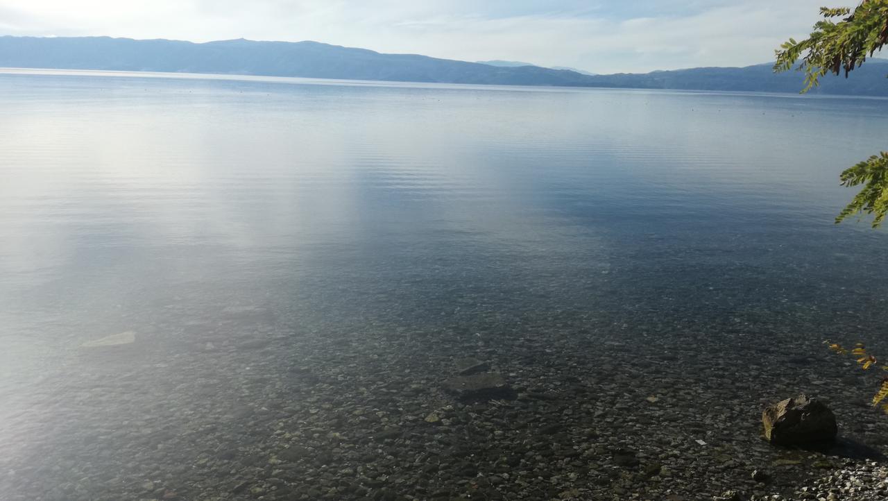Guesthouse Zimovski Peštani Esterno foto