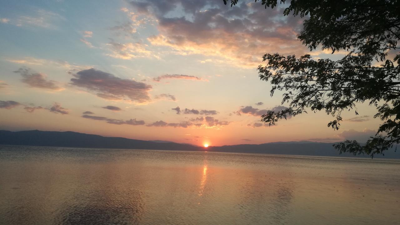 Guesthouse Zimovski Peštani Esterno foto