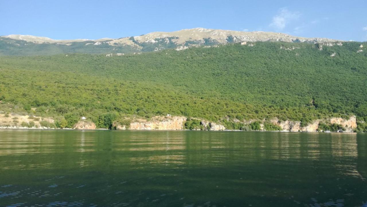 Guesthouse Zimovski Peštani Esterno foto